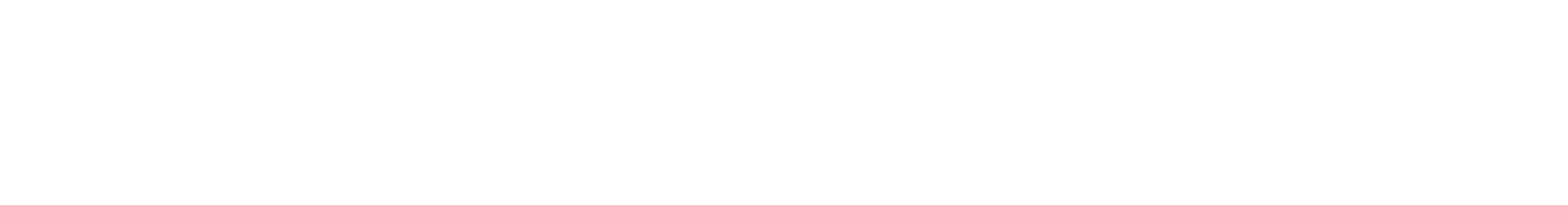 Bespoke Discovery Logo