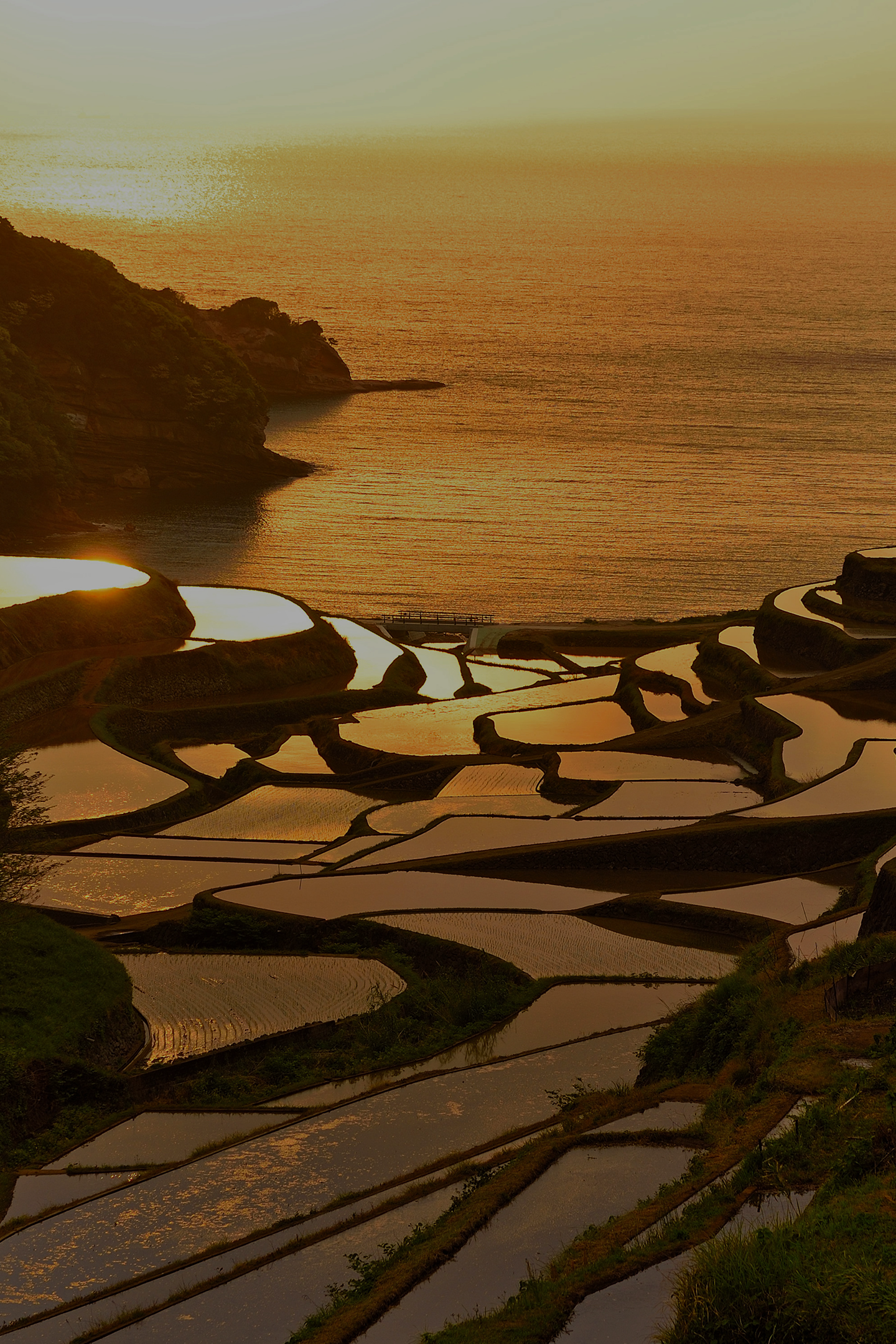 RegionalCuisineKyushuOkinawaEdition_02