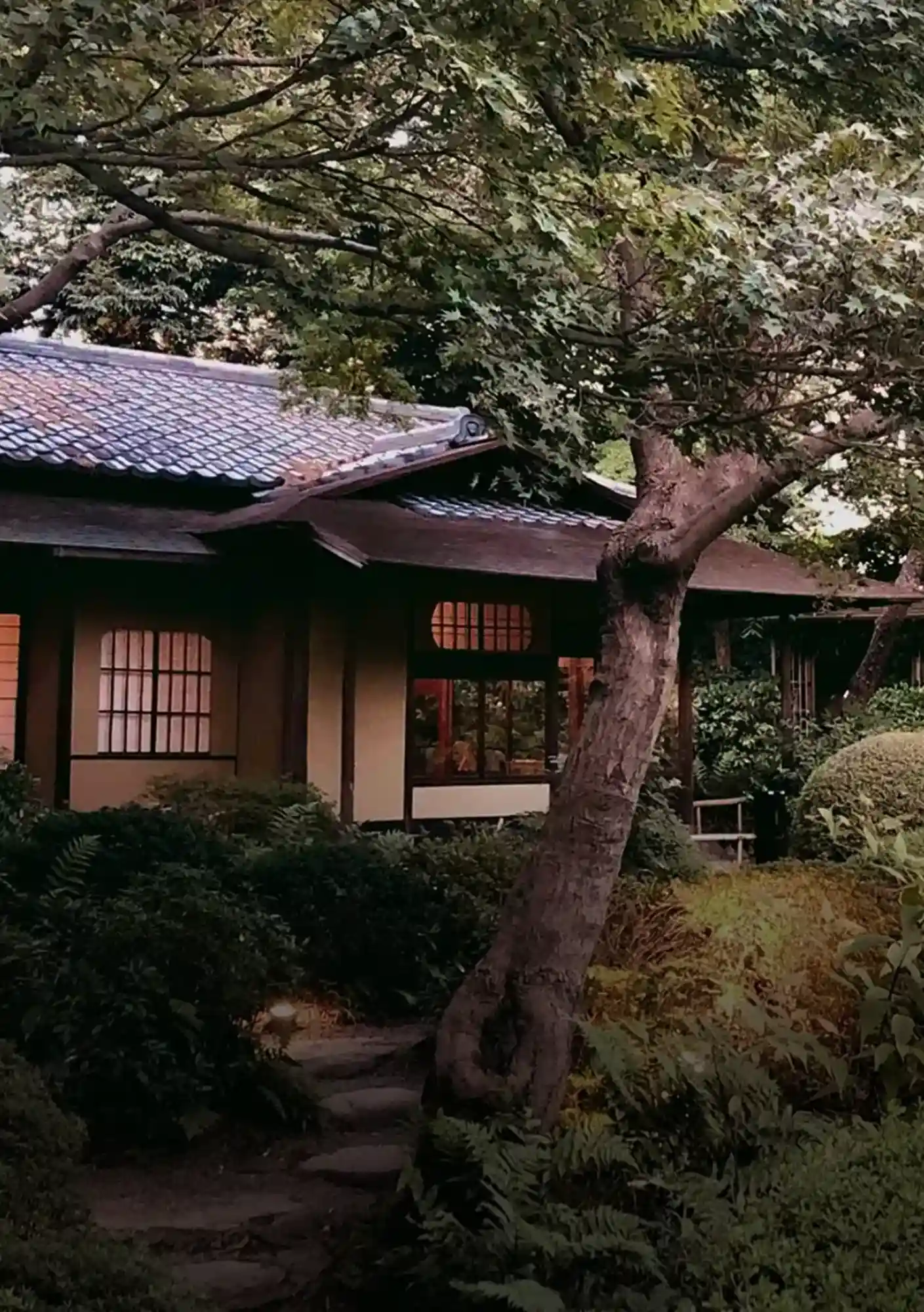 A Journey into Japan_s Onsen Ryokan Culture_02