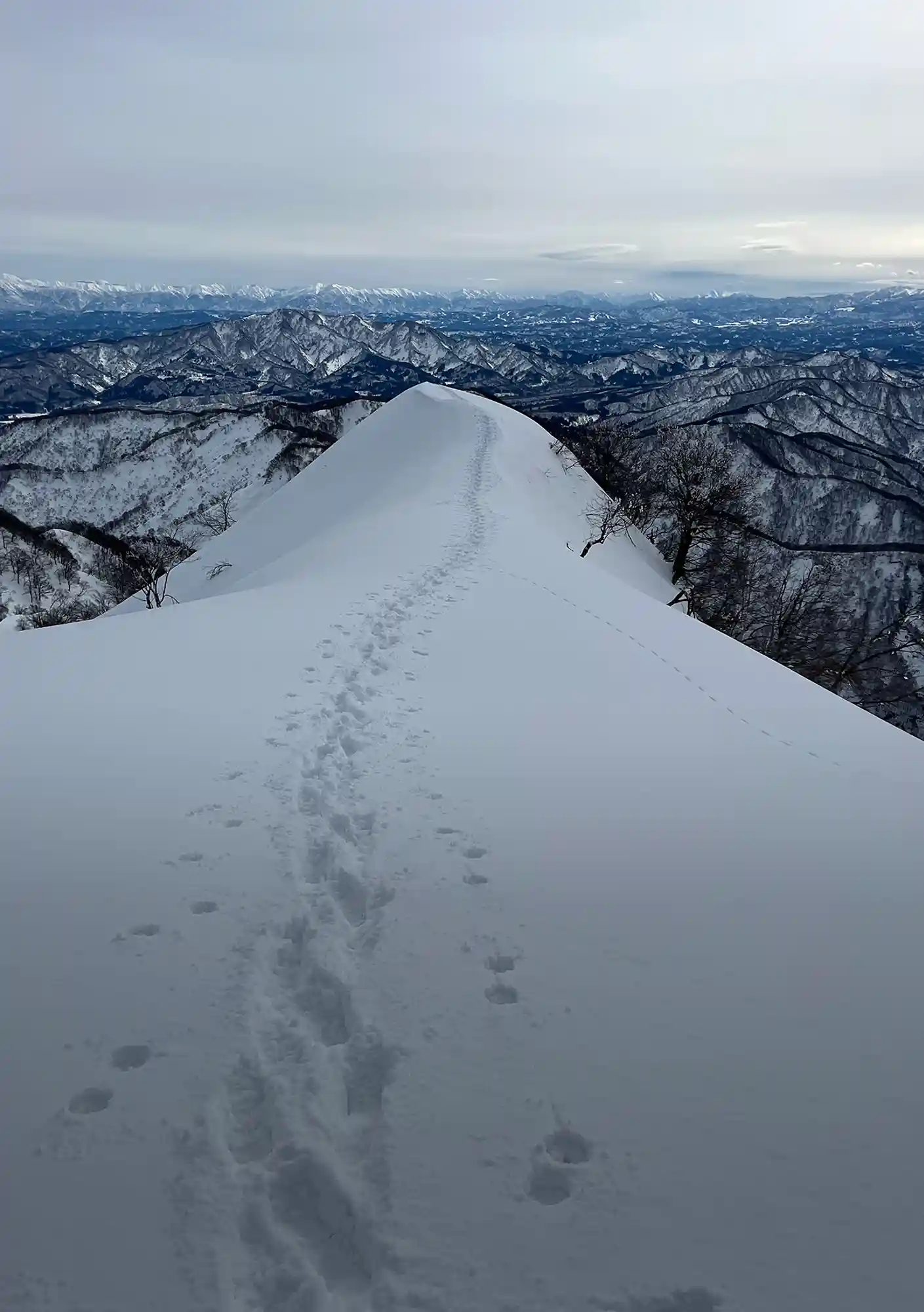 Japanese Literatur Culture An Intellectual Journy Through Tradition and Insight_Main_01