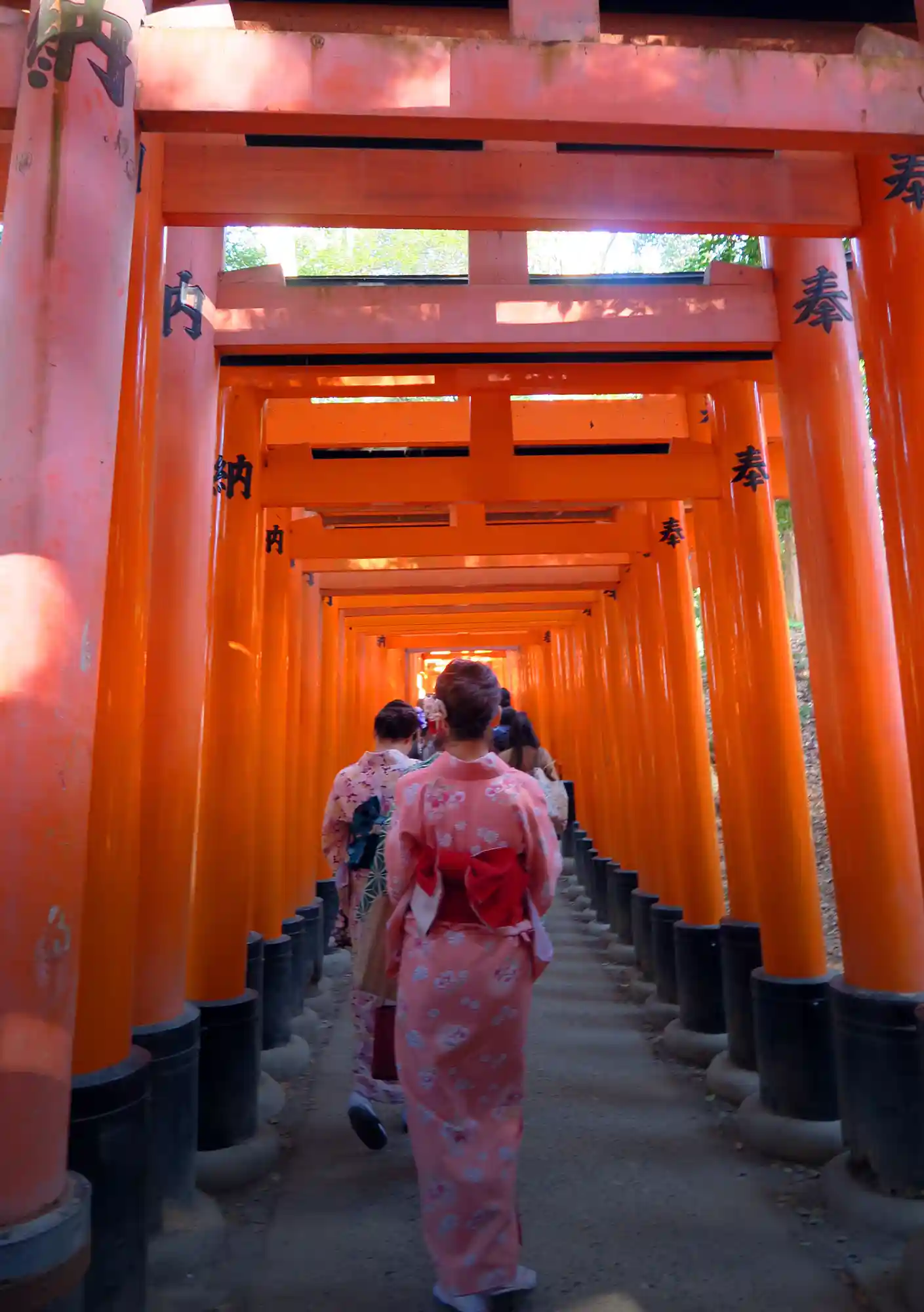 Japanese Literatur Culture An Intellectual Journy Through Tradition and Insight_Main_02