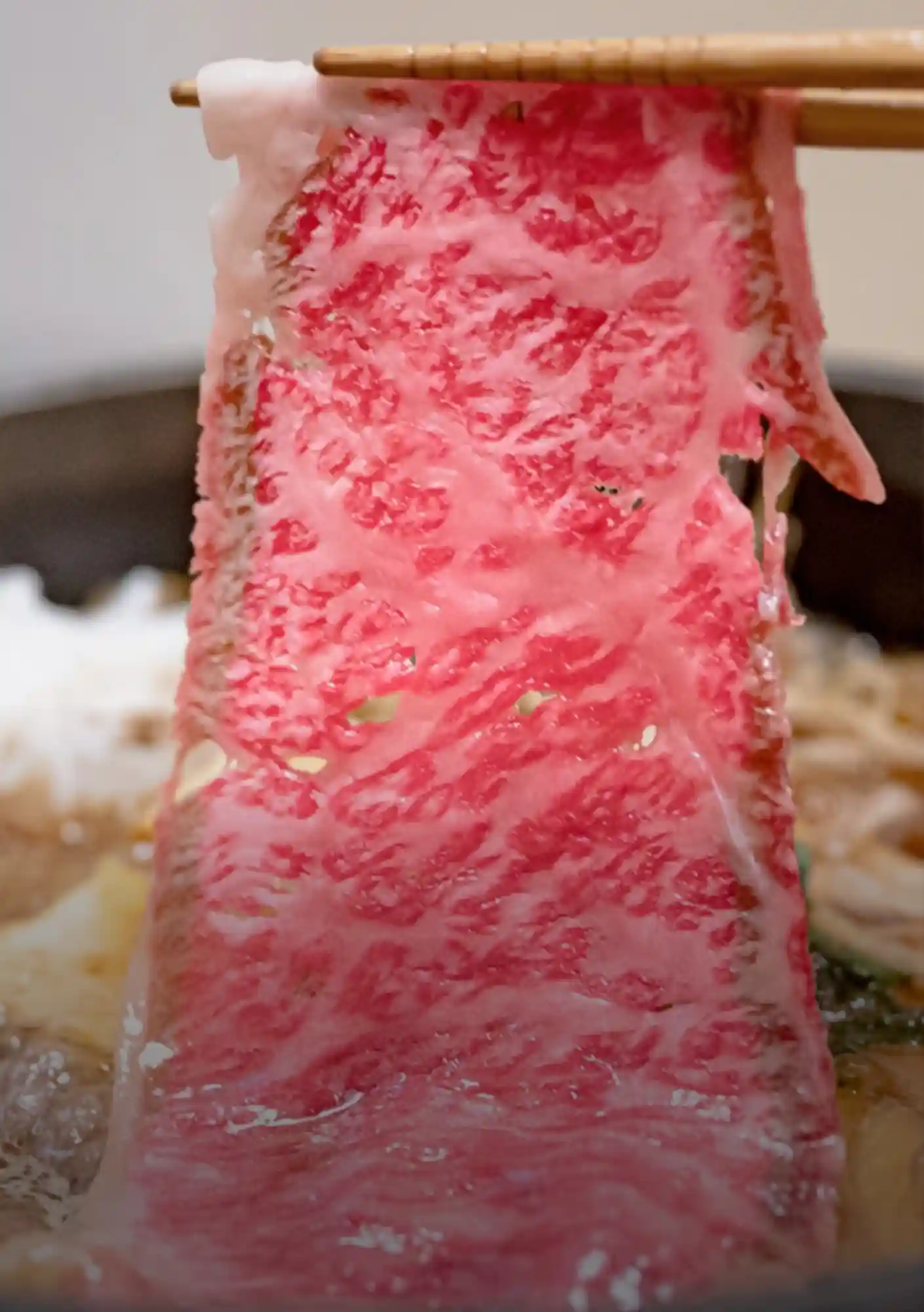 Tokyo Gourmet Tour A Connoisseur_s Guide to Japan_s Culinary Capital_-2