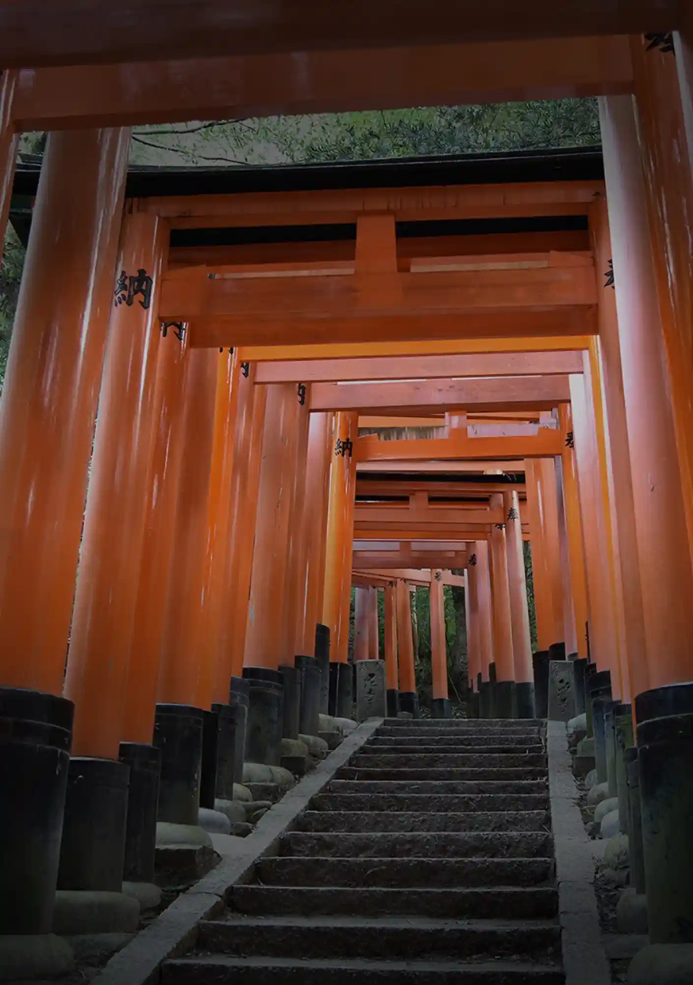 Sacred Tokyo A Refined Guide to Shrines and the Spiritual Heart of Hatsumode_01