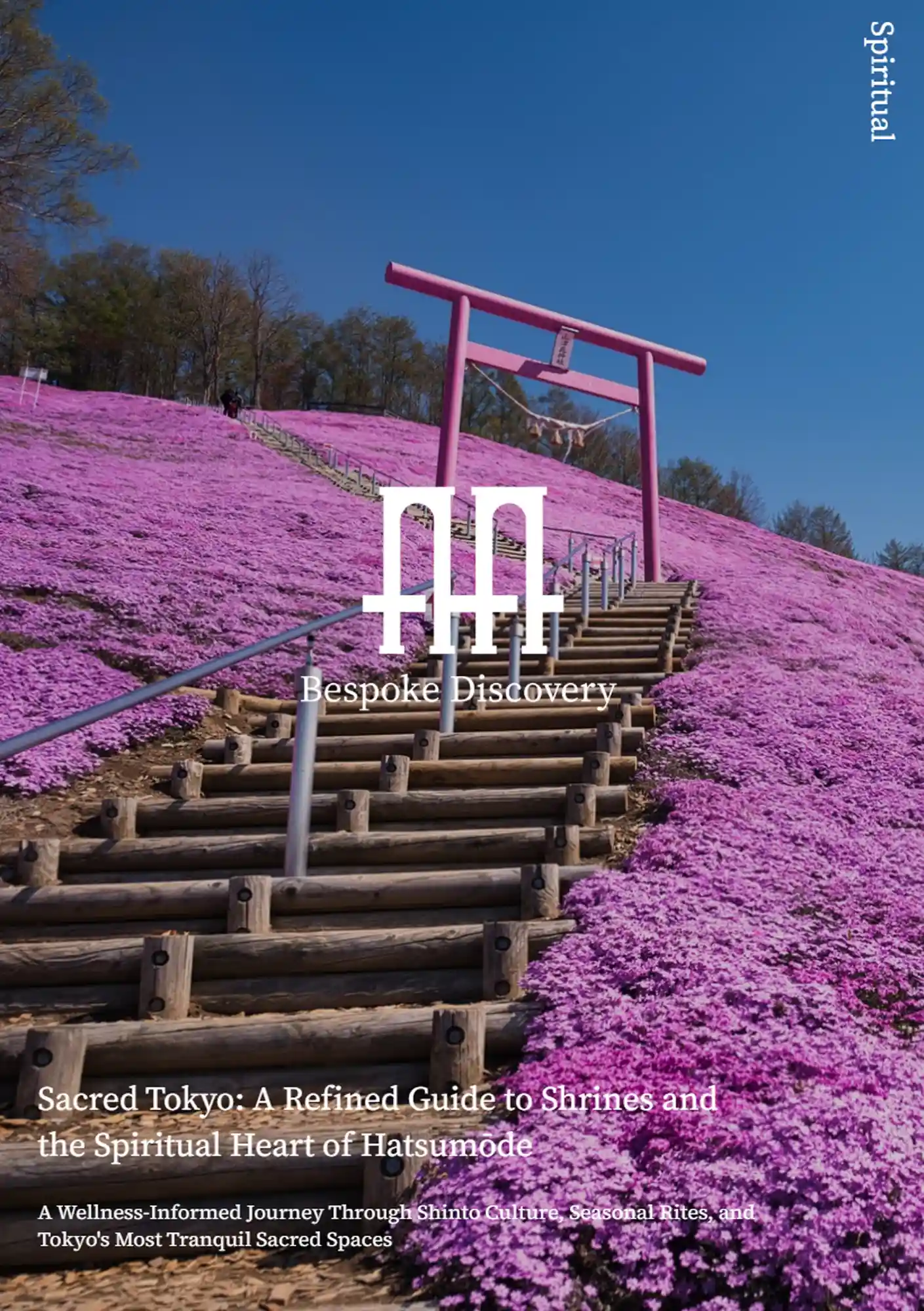Sacred Tokyo: A Refined Guide to Shrines and the Spiritual Heart of Hatsumōde