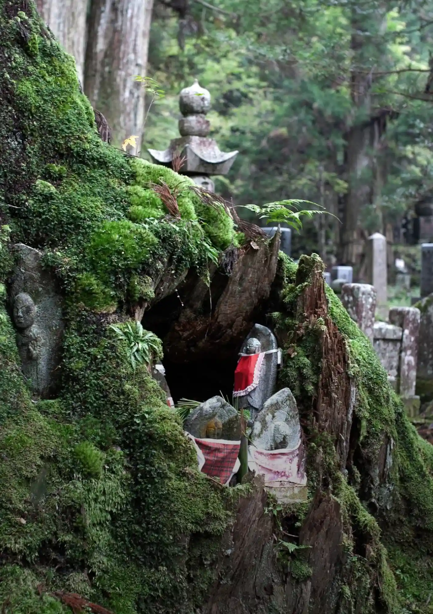 Guide to Koyasan Temple_03