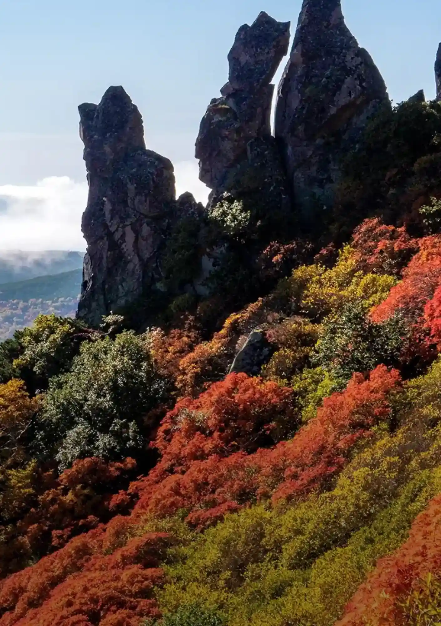 Japan_s Forest & Nature Wellness Guide_02
