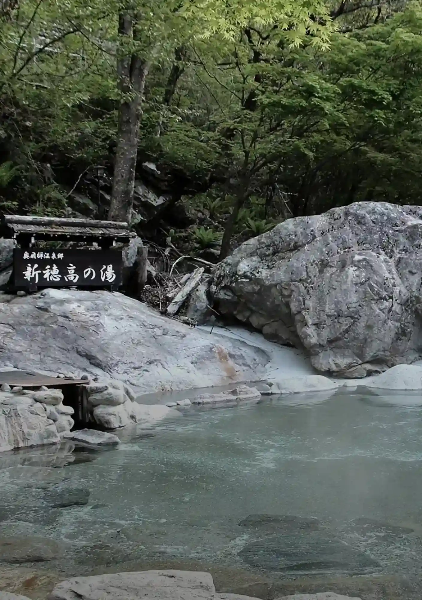 Japan_s Forest & Nature Wellness Guide_03