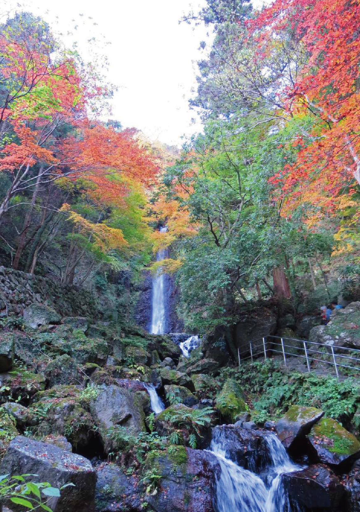 The_Art_of_Family_03