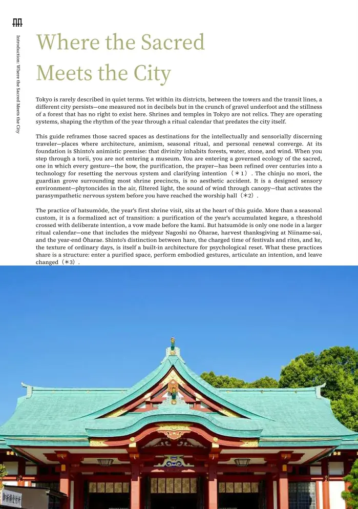 Chapter 4 — The Ritual of Hatsumōde — A New Year Reset