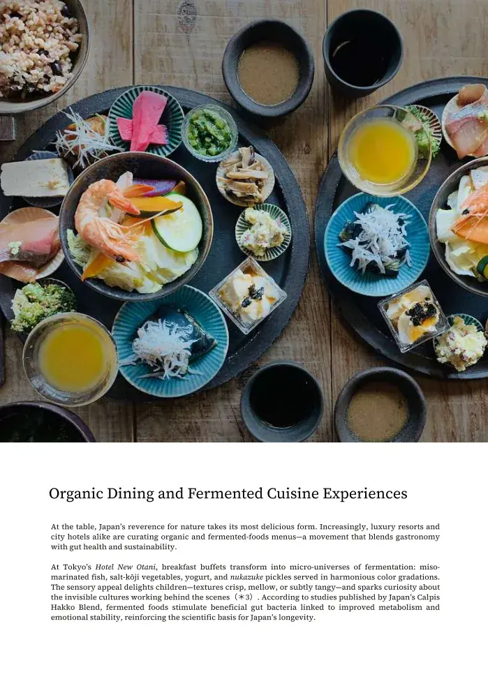 Chapter 6 — Where to Stay: Sustainable Luxury and Cultural Harmony