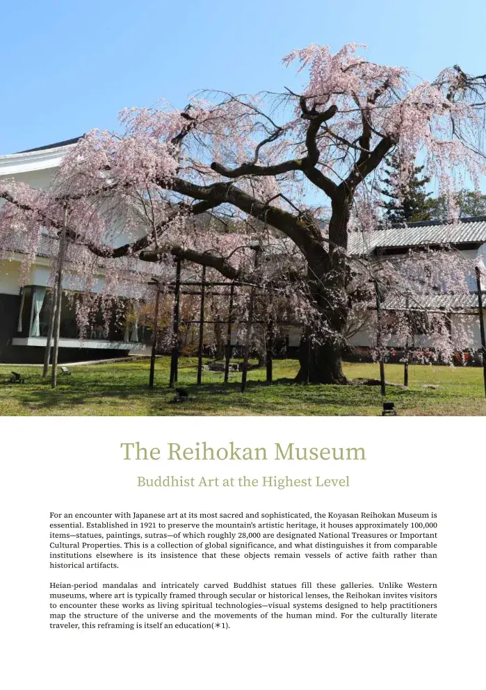 Chapter 1 — Koyasan Decoded — The Spiritual Geography of Japan's Most