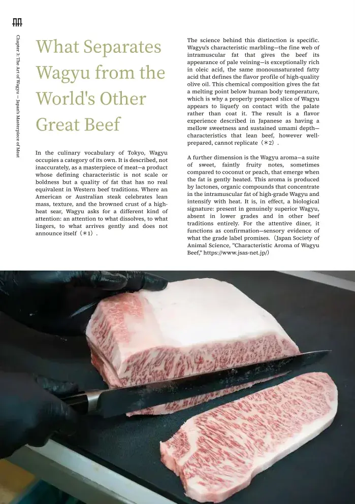 Chapter 3 — The Art of Wagyu — Japan's Masterpiece of Meat