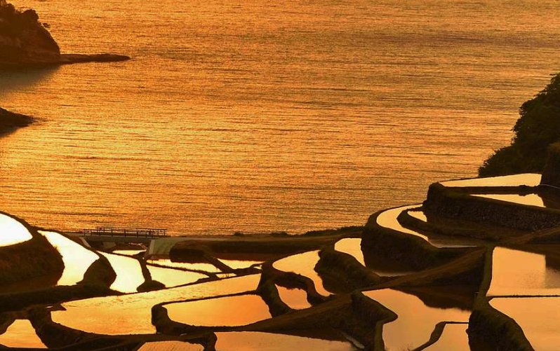 background_Anniversary